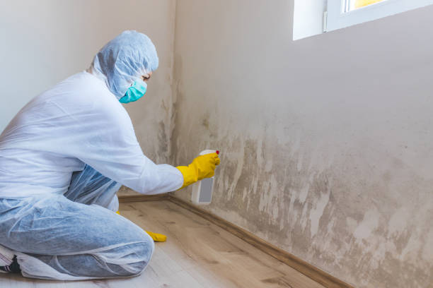 Crawl Space Mold Remediation treatment of floor joists in Springfield
